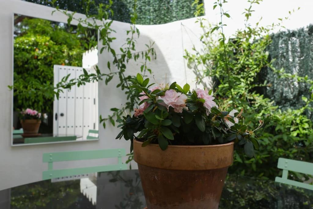 Casa Bela, En Marbella Muy Cerca De La Playaヴィラ エクステリア 写真